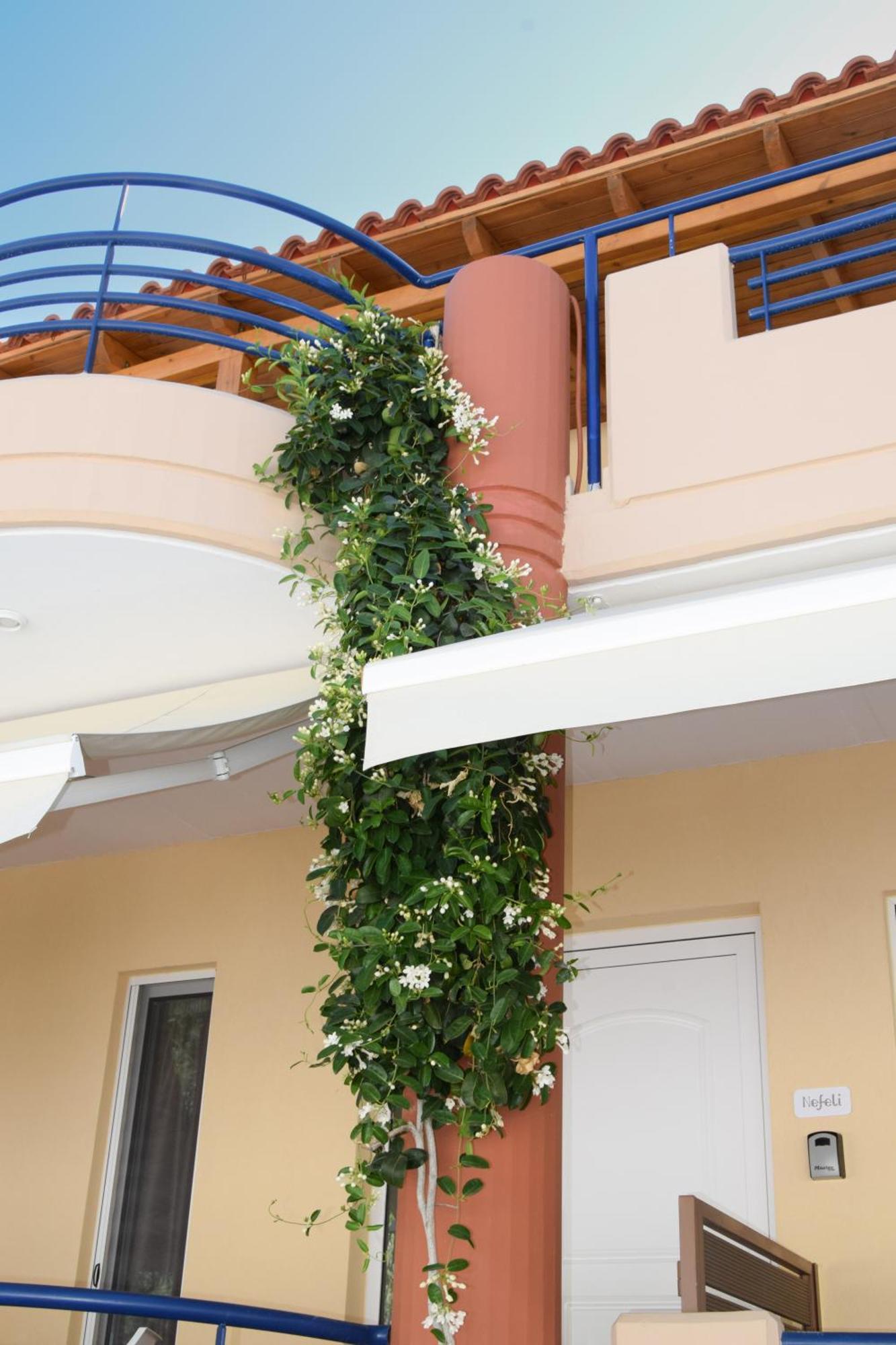 Agia Pelagia Andy'S Plaza 아파트 외부 사진